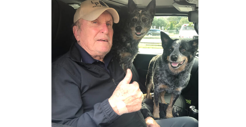 doliu la hollywood s a stins robert duvall cunoscut din seria nasul 69936a931486f