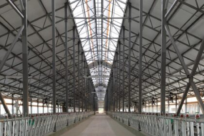 doua hale de productie vor fi construite in agigea de un investitor puternic prin doua firme diferite cine este acesta 697ed4af83135