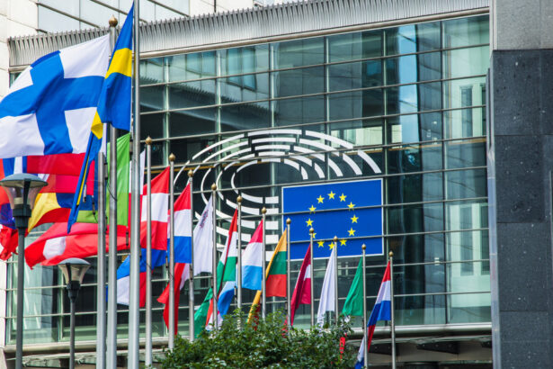 europa trebuie sa pastreze controlul dependenta de tehnologia din sua ameninta suveranitatea digitala 698245800fe1c