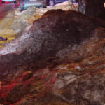 exclusiv asta ajunge in plamanii nostri diana buzoianu spune ca zapada neagra de pe strazi este simbolul poluarii din bucuresti 699f5f277c442