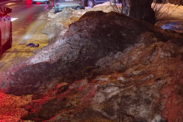 exclusiv asta ajunge in plamanii nostri diana buzoianu spune ca zapada neagra de pe strazi este simbolul poluarii din bucuresti 699f5f277c442