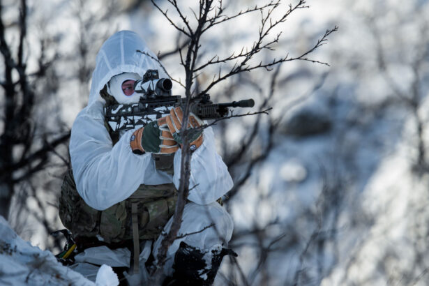 finlanda infiinteaza un centru al nato in laponia pentru cresterea capacitatii defensive in arctica 6993262aea98f