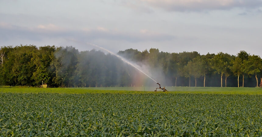 fondurile pentru proiectele de apa trebuie prioritizate in viitorul buget ue avertizeaza ministrul mediului diana buzoianu 69860fce76b4b