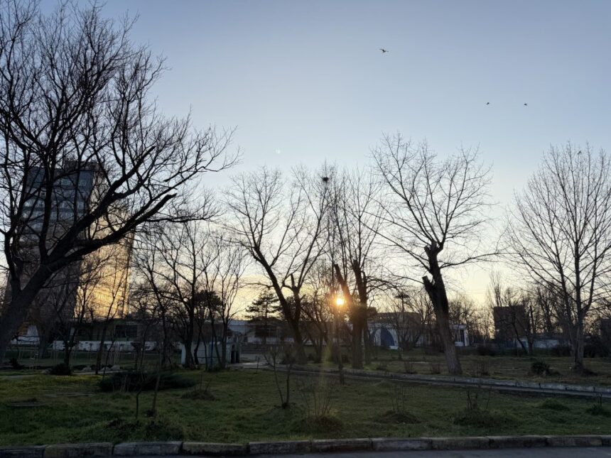 fostul viceprimar al municipiului baia mare de la contracte cu statul la blocuri in statiunea mamaia 698d1229dc6e9