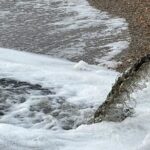 galerie fotovideo apa dintr un santier din mamaia nord deversata in marea neagra ce spune garda de mediu 698afbb31d6e8