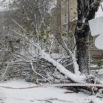harta meteorologii anunta noi coduri de vreme severa pana maine zonele in care va mai ninge si va fi viscol 69957f74dfbb3