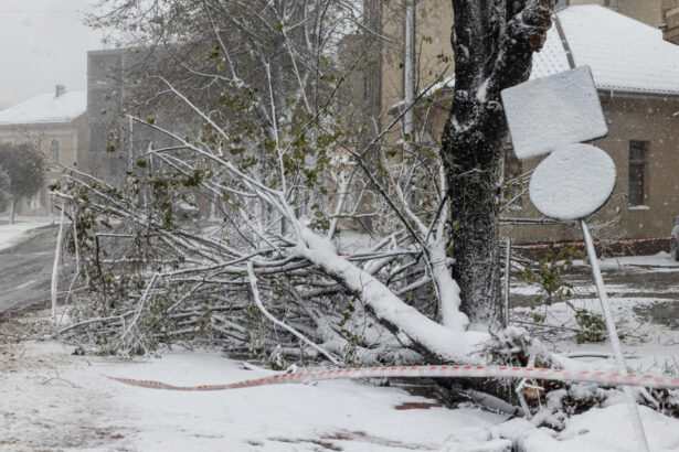 harta meteorologii anunta noi coduri de vreme severa pana maine zonele in care va mai ninge si va fi viscol 69957f74dfbb3