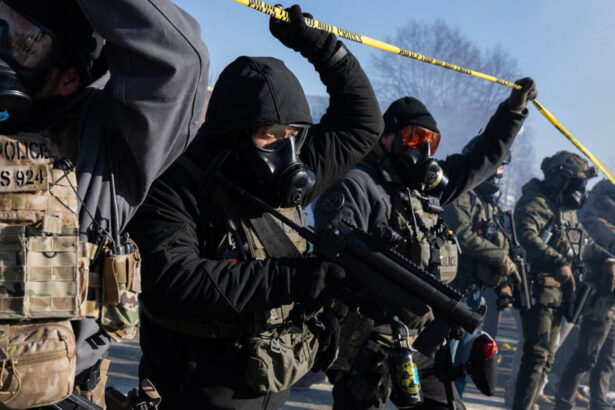 influencer pro trump care sustinea ca toti migrantii retinuti sunt niste infractori arestat de ice in sua 6980e96acc22e