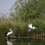 irineu darau anunta actualizarea masterplanului pentru investitiile in turism realitatea din teren s a schimbat 6994e3860578b