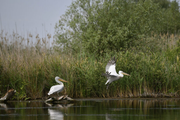 irineu darau anunta actualizarea masterplanului pentru investitiile in turism realitatea din teren s a schimbat 6994e3860578b