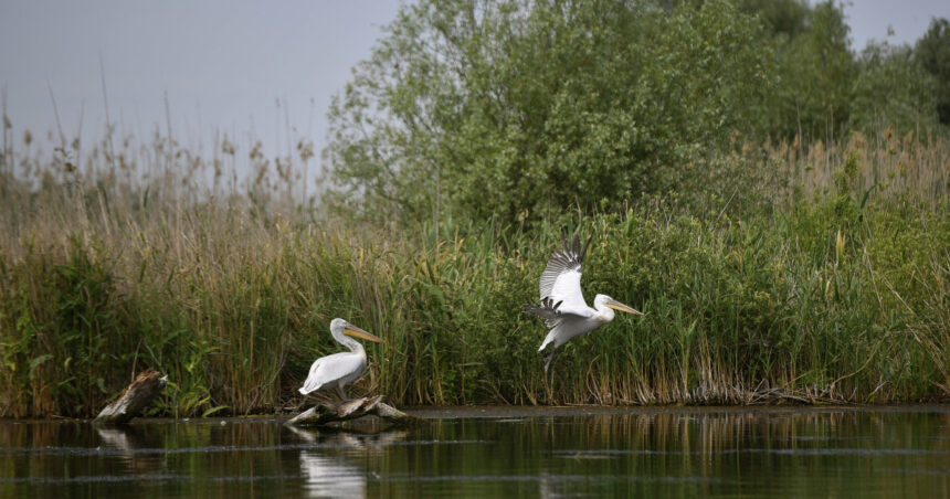 irineu darau anunta actualizarea masterplanului pentru investitiile in turism realitatea din teren s a schimbat 6994e3860578b