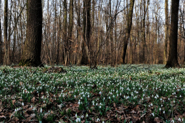 meteorologii anunta vreme mai calda decat de obicei dupa valul de frig din aceste zile estimari pentru 4 saptamani 69941c42ef751