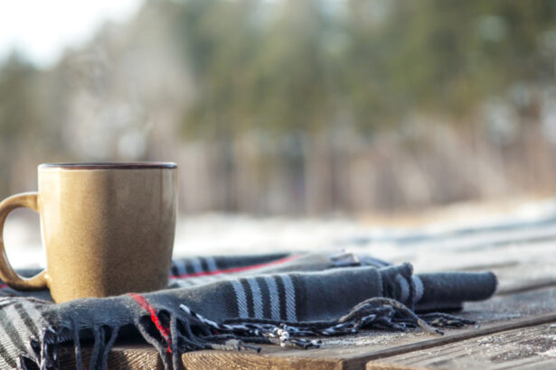 meteorologii anunta vreme schimbatoare pana la 1 martie prognoza pentru fiecare regiune a tarii 6993068999414