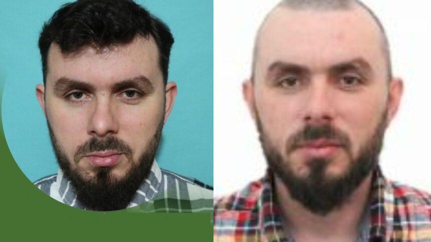 misterul cadavrului descoperit in madeira elucidat era un barbat din mangalia disparut din germania 69985f7033bf4