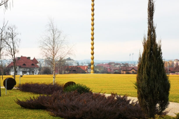 operele lui brancusi unde pot fi admirate cele mai cunoscute sculpturi de la coloana infinitului la pasarea maiastra 6996a6a64173d