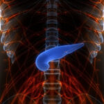pancreasul artificial a fost dezvoltat in israel cum functioneaza implantul viu care ar elimina injectiile zilnice cu insulina 6982065d7773c