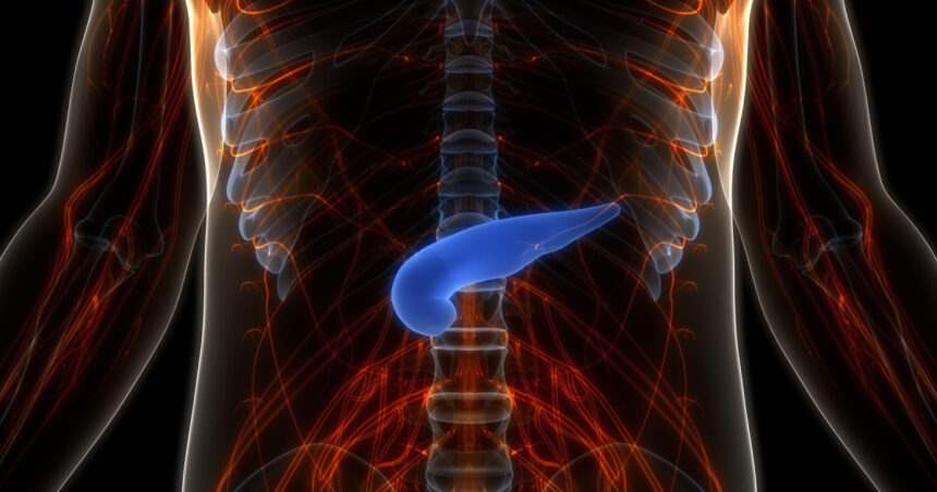 pancreasul artificial a fost dezvoltat in israel cum functioneaza implantul viu care ar elimina injectiile zilnice cu insulina 6982065d7773c