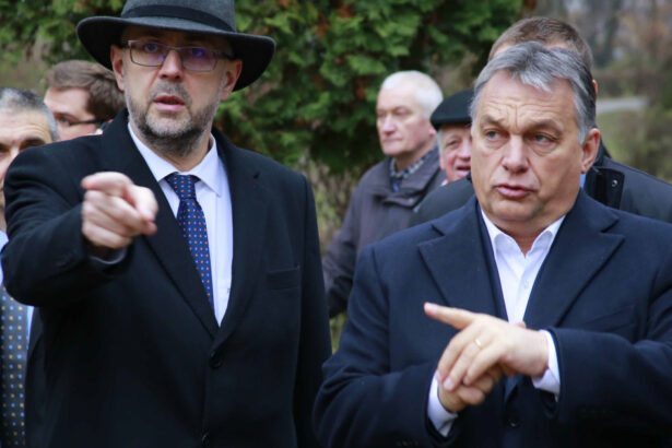 pe cine sprijina udmr la alegerile din ungaria votul maghiarilor din romania nu se va schimba 699d80f3b72b6