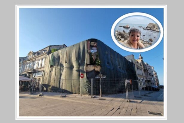 proiectul imobiliar demarat de florina moscu in zona peninsulara primeste autorizatie de construire bloc cu alimentatie publica si comert la parter pe strada vasile alecsandri 698f59eef2682