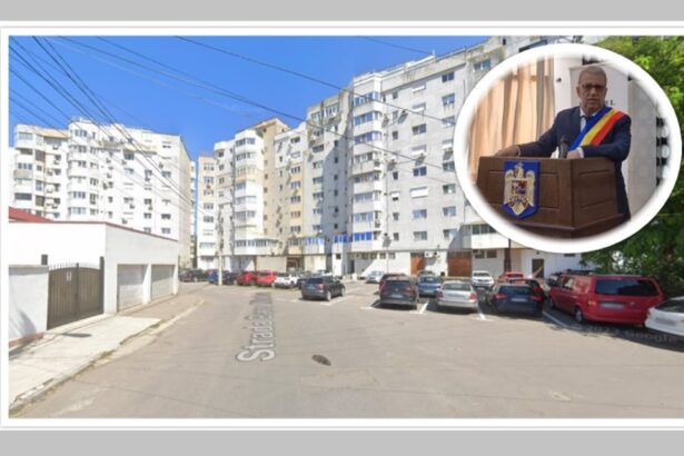 proiectul pentru parcari si spatii verzi in faleza nord motiv de proces primarul chitac dat in judecata 69968c1cc84d0