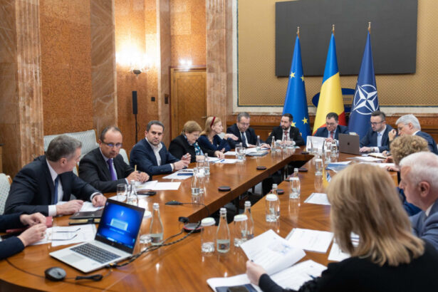 reforma guvernantei companiilor de stat analizata la palatul victoria oana gheorghiu progrese pentru jaloanele din pnrr 698b63d68f273