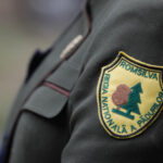 reforma la romsilva ministrul mediului suntem la un pas de a adopta reorganizarea trecem de la 41 la 19 directii in toata tara 699f580bbedf1