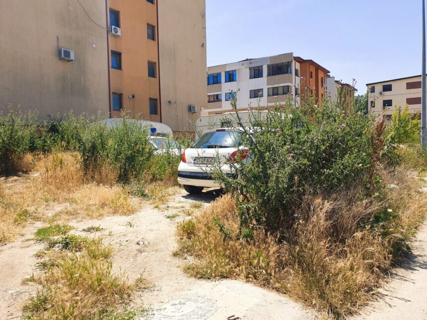 registrul spatiilor verzi din constanta cheia finantarii proiectului din zona compozitori 698b9d87d5759