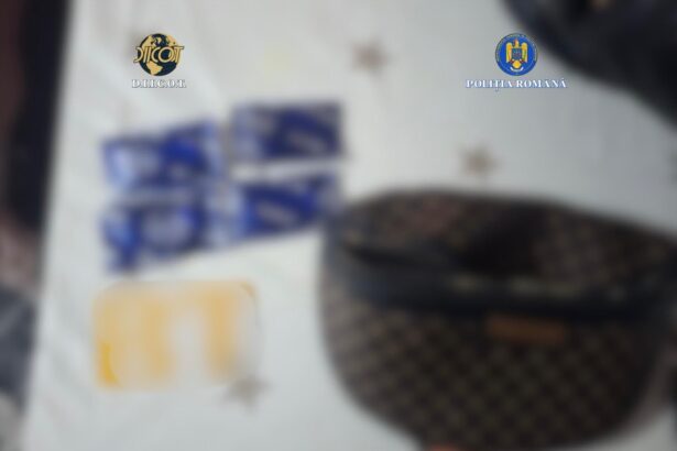 retea de exploatare sexuala destructurata la constanta minore si tinere vulnerabile din centre de plasament fortate sa se prostitueze 6987154dc72f3