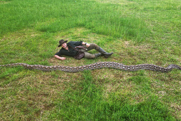 romanul care a descoperit cel mai lung sarpe din lume intrat in cartea recordurilor succesul niciodata nu este al unui singur om 698586a9da10f