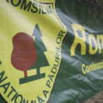 romsilva a redobandit proprietatea a 43 000 de hectare de padure retrocedate ilegal iccj a inchis dosarul care l a vizat pe hrebenciuc 698b12fa7d5c3