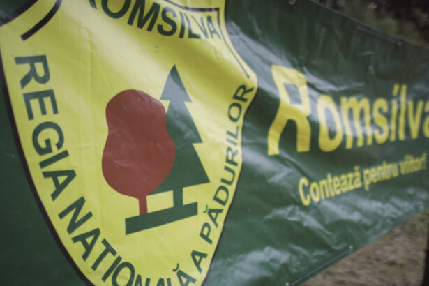 romsilva a redobandit proprietatea a 43 000 de hectare de padure retrocedate ilegal iccj a inchis dosarul care l a vizat pe hrebenciuc 698b12fa7d5c3