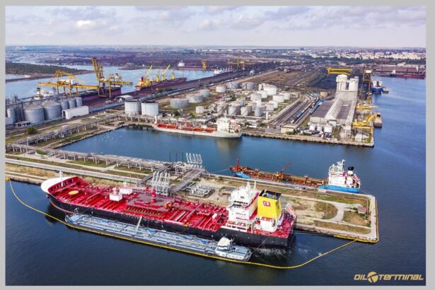 s a declansat procedura de selectie a unui nou administrator in ca ul companiei oil terminal sa cat va dura mandatul sau 699c7e63bfd86