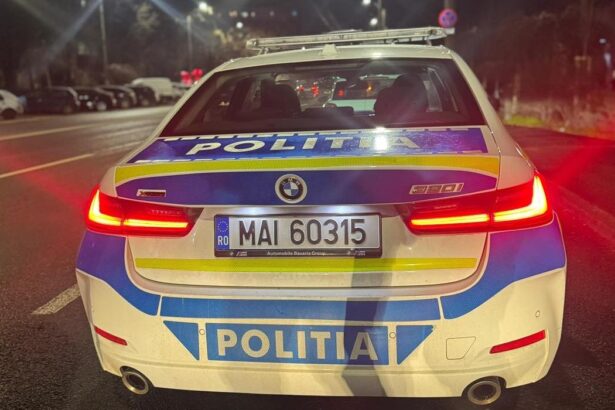 soferul unei autoutilitare a ramas fara vehicul si a primit o amenda de 4 000 de lei dupa un control pe dn 2a intre mihail kogalniceanu si ovidiu ce s a intamplat 69946ebf618b9