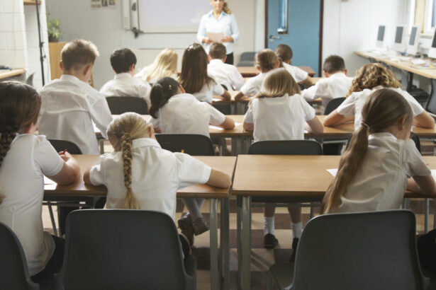 structura anului scolar 2026 2027 ce se schimba in calendarul cursurilor programul complet al elevilor 698db27ed1e47