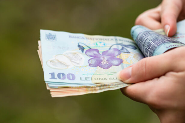 tichete de cresa 2026 cum pot obtine parintii sprijin financiar suma maxima prevazuta lunar pentru serviciile educationale 6997ed9a550a7