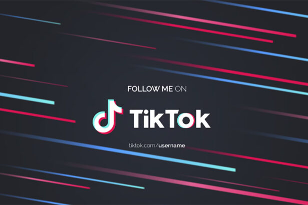tiktok angajeaza romani care sa vaneze continutul violent care sunt candidatii ideali 6991705a48d9d