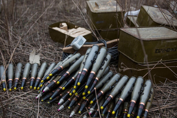 ucraina ramane cel mai mare cumparator de arme germane ce state nato se afla pe urmatoarele locuri 6985fab9c0ea3