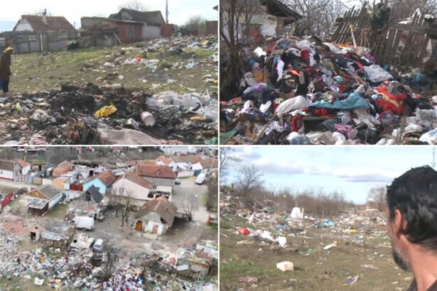 video am vrut sa mi vand casa ca n am mai putut focar de infectie la marginea unui oras din vestul tarii primaria a fost somata 699551a2dd9d9