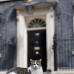 video cel mai faimos motan din lume larry aniverseaza 15 ani la resedinta premierilor britanici 6991aa7b6cb6c