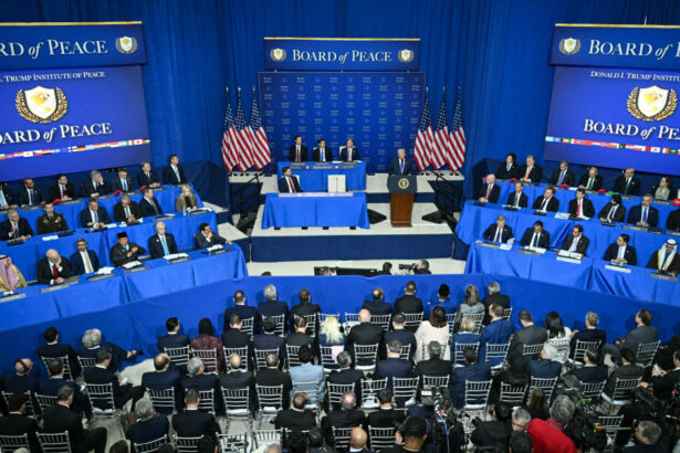 video de ce a ales nicusor dan sa participe la reuniunea consiliului pentru pace si nu a mers la davos sau la munchen 69976a7ebfbe3