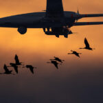 video de la bayraktar la patriot cum au evoluat armele vedeta ale razboiului din ucraina 699d4c5c13e16