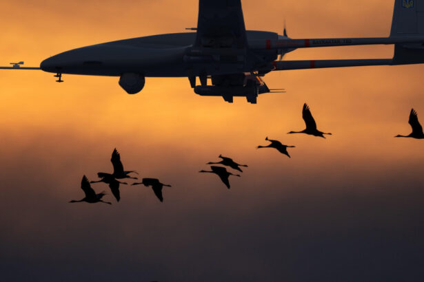 video de la bayraktar la patriot cum au evoluat armele vedeta ale razboiului din ucraina 699d4c5c13e16