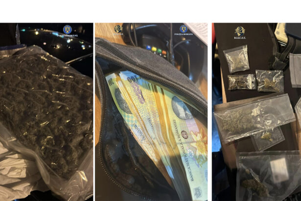 video doi baieti si o fata saltati de mascati in timp ce vindeau un kilogram de iarba clientii lor erau tineri si elevi 69837c6d1f3ff