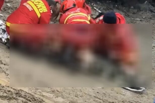 video imagini teribile pe strada pescarilor un barbat a murit dupa ce a cazut de la etajul unui bloc 69875baf024f2