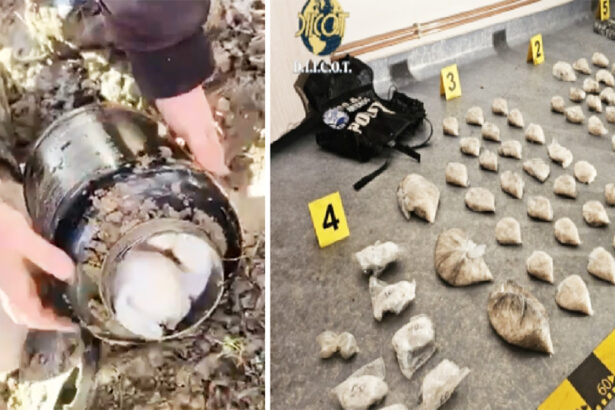 video mega lovitura diicot kilograme de cocaina si cristal ingropate de traficantii de droguri 699758080b733