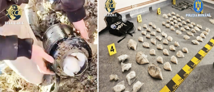 video mega lovitura diicot kilograme de cocaina si cristal ingropate de traficantii de droguri 699758080b733