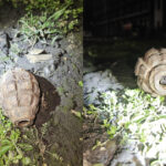 video momente de panica la galati o grenada a fost gasita in apropierea garii 6991b88b0988b