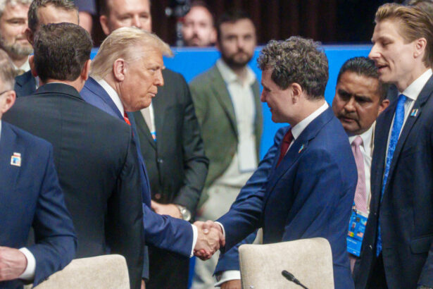 video nicusor dan participa azi la consiliul pentru pace de la washington care este agenda intalnirii convocate de trump 6996b13346590