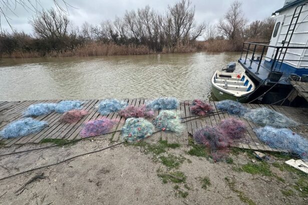video politistii de frontiera descoperire impresionanta la tulcea s a deschis dosar penal 69905ac028b51