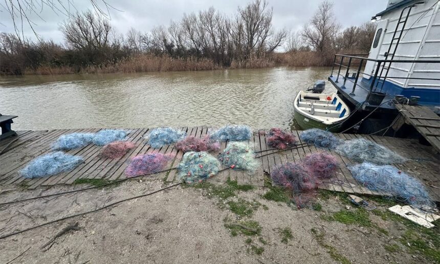 video politistii de frontiera descoperire impresionanta la tulcea s a deschis dosar penal 69905ac028b51